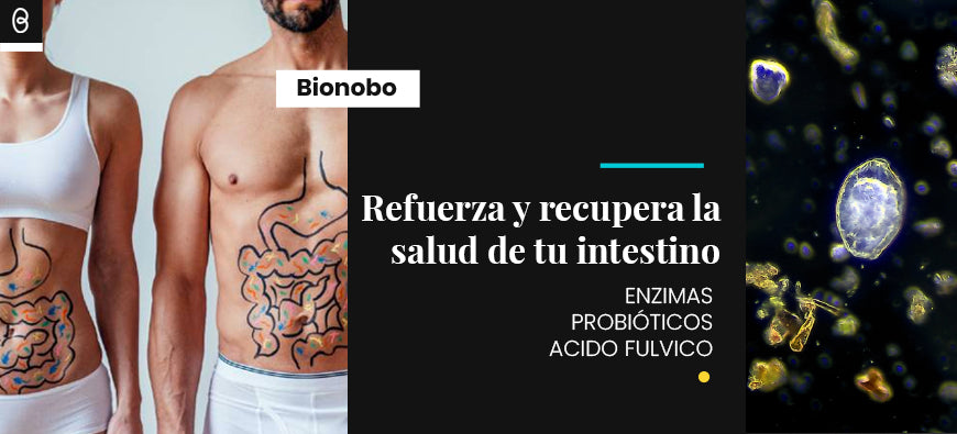 Refuerza y recupera la salud de tu intestino con enzimas digestivas, probióticos y el ácido fúlvico.