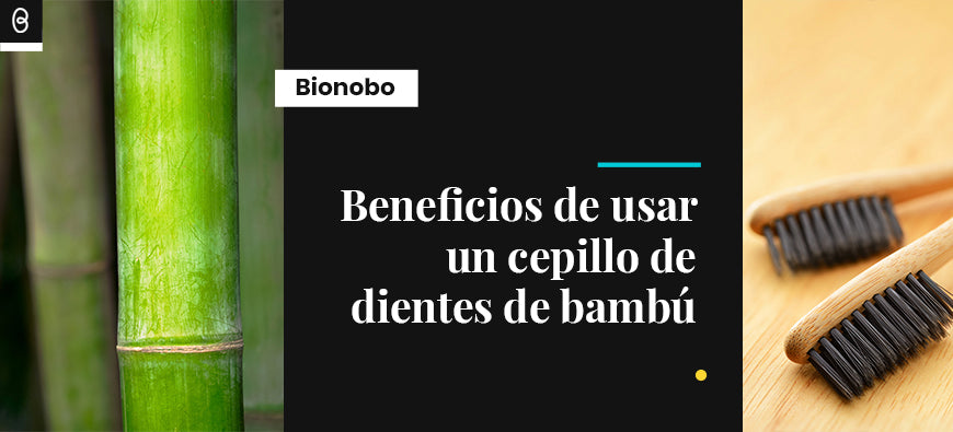 ¿Por qué deberías usar un cepillo de dientes de bambú? ¡descubre los beneficios!